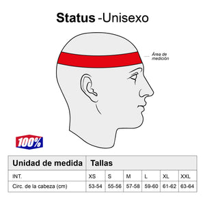 
                  
                    Cargar imagen en el visor de la galería, Casco 100% Status Caltec/Grey
                  
                